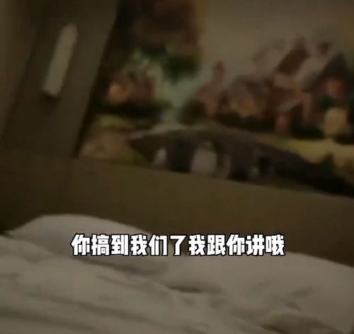 视频2 单个光子的视频偏振方向