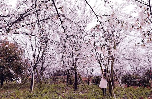 没有选择我的惩罚