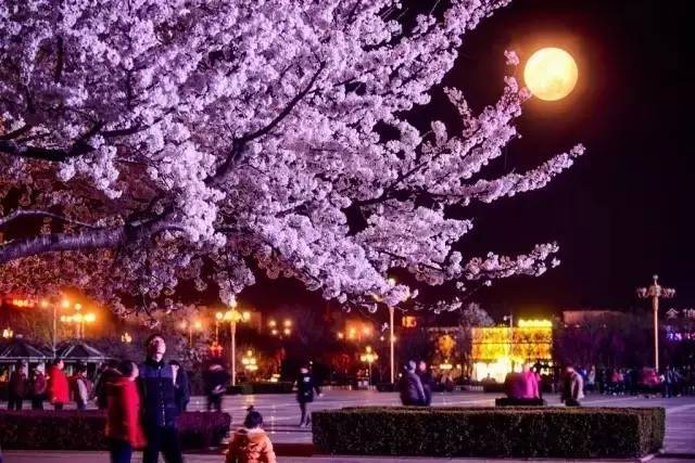 99久久久国产精品无码