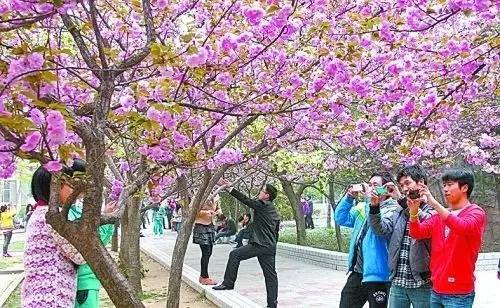 直接小马拉大车 mp4