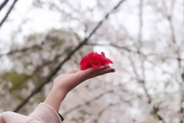 最新爆料在线观看 内容多元的线观资讯消费体验