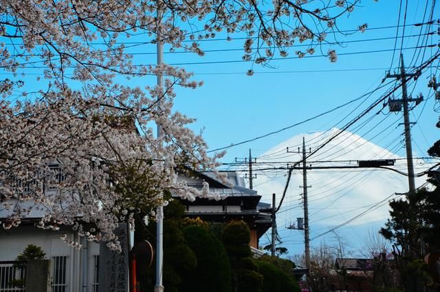 +丹 祖 宗 的 视 频 vk