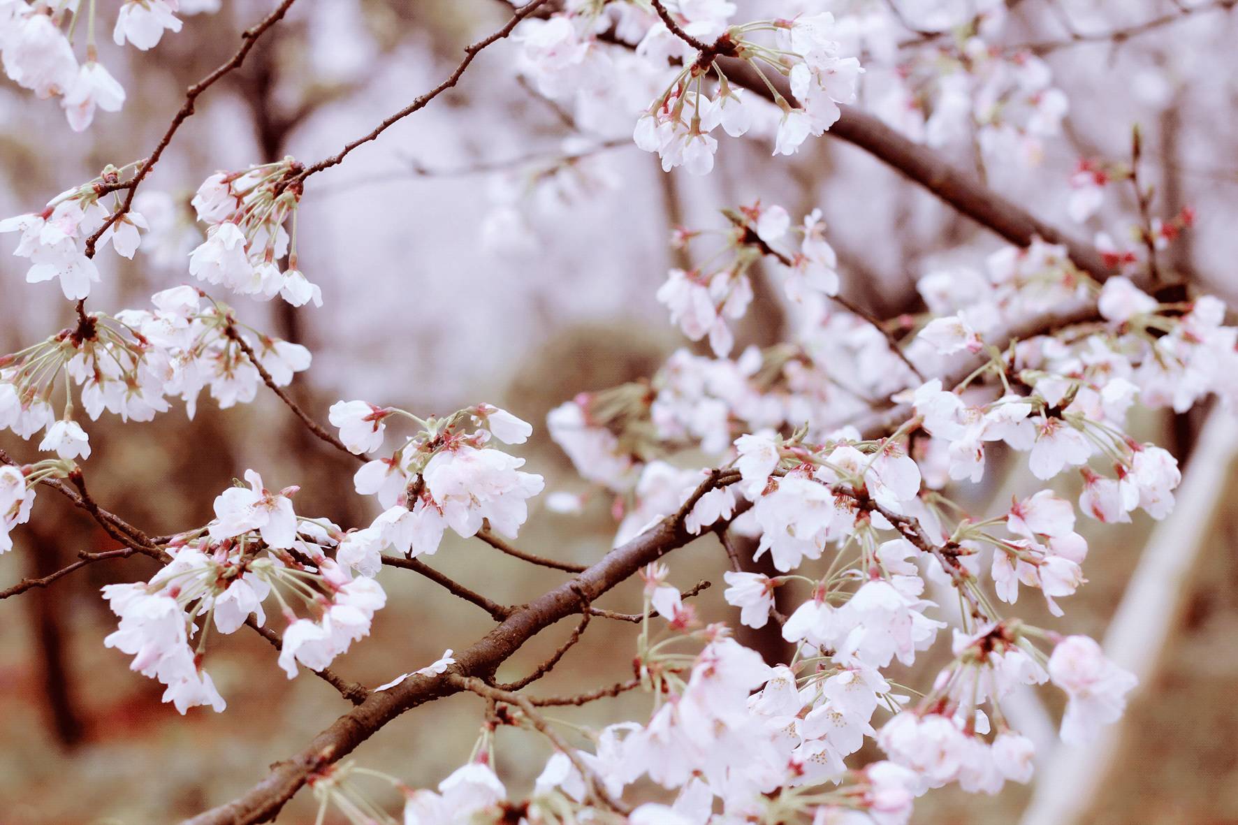 搜男男动漫 搜男能让人轻松看完