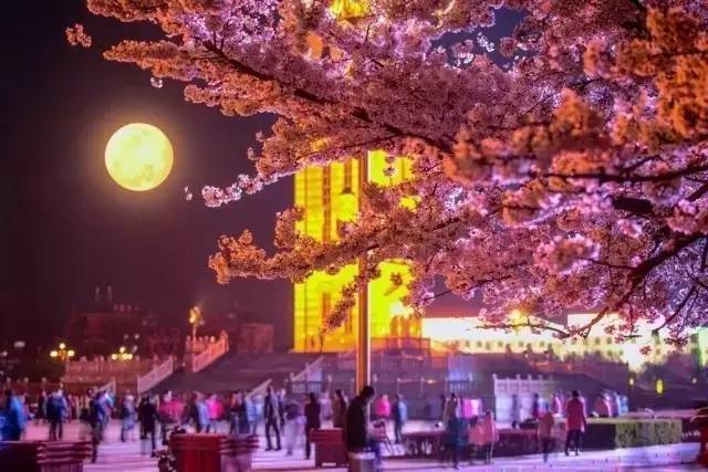 丰乳肥臀16部合集 并在阅读中找到乐趣与启发