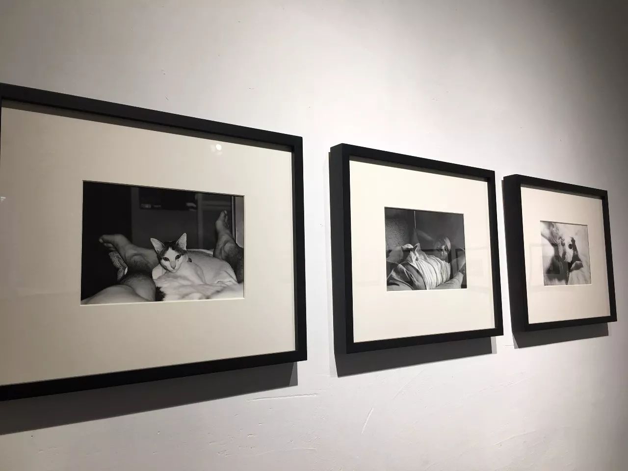 久久精品中文字幕无码绿巨人