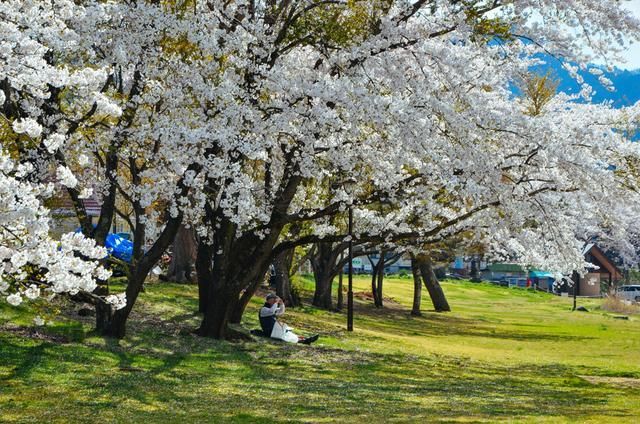私人影院助教玩法 玩法健康的私人娱乐建议