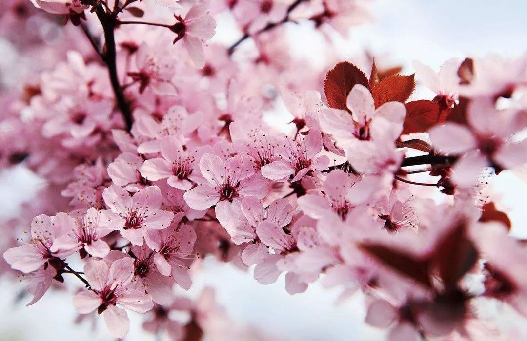 拍国产乱人伦偷精品视频