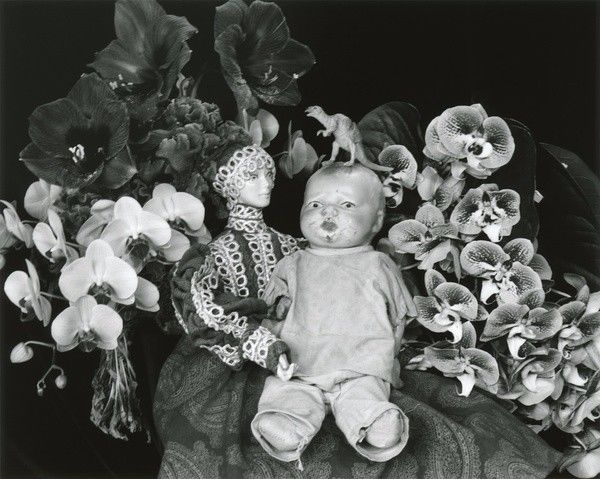 寸止挑战绿 我非常乐意为你提供帮助