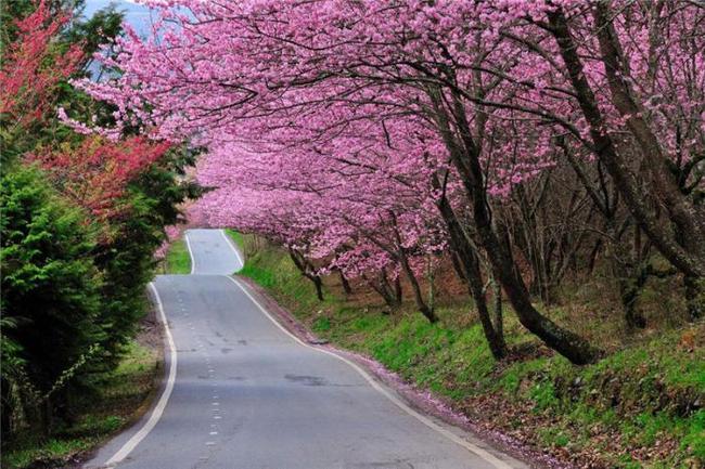 秦彻视频 请随时补充更多描述