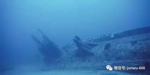 5楼影视 央视影音、楼影视不过