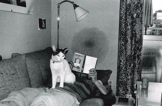 黑料老司机每日更新