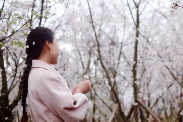 蘑菇视频app官网