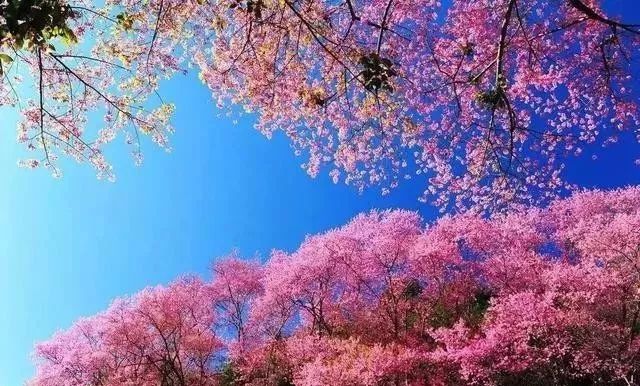 海马影视 用户界面通常较为简洁