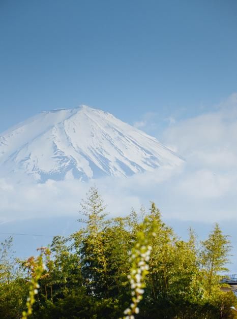 海马影视 用户界面通常较为简洁