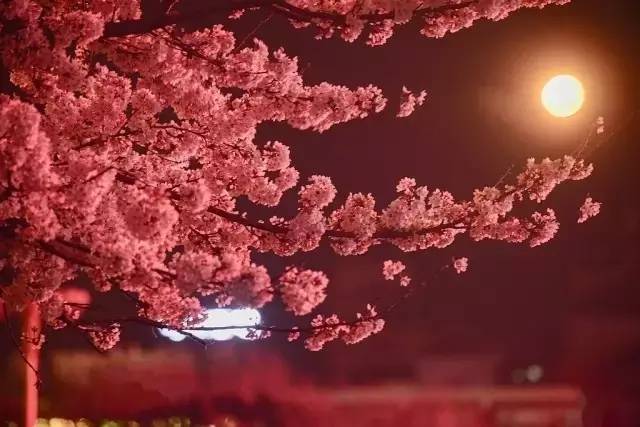 电影深爱的你1999