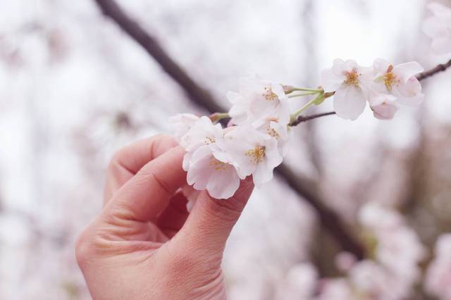 北觅影视 北觅影视播放不稳定