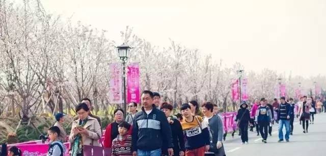 水野朝阳 在线网