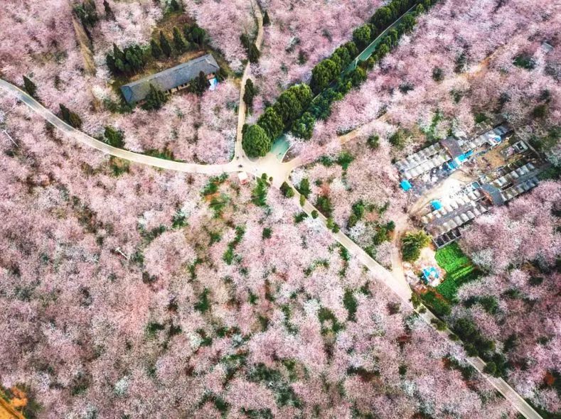 在线观看中字无