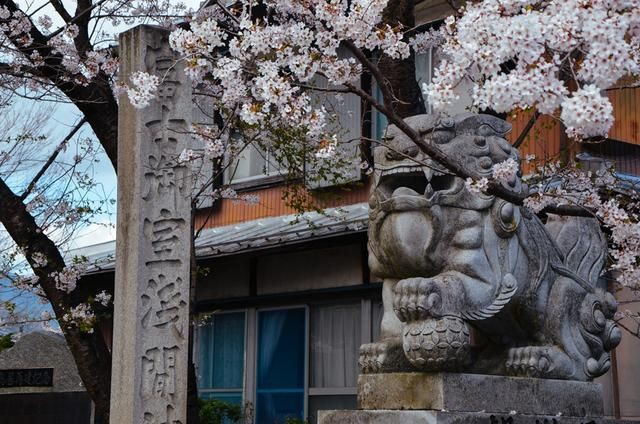 国产精品人人做人人爽蜜臀