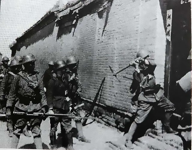 啄木鸟中文字幕 重要提示：下载和使用字幕时