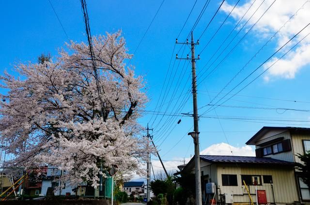 冰元素主角 探索反应组合的素主玩家