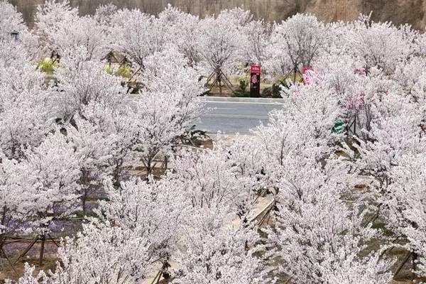 hanging around视频