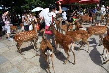 vr在线播放 仅支持3DoF（头部转动）