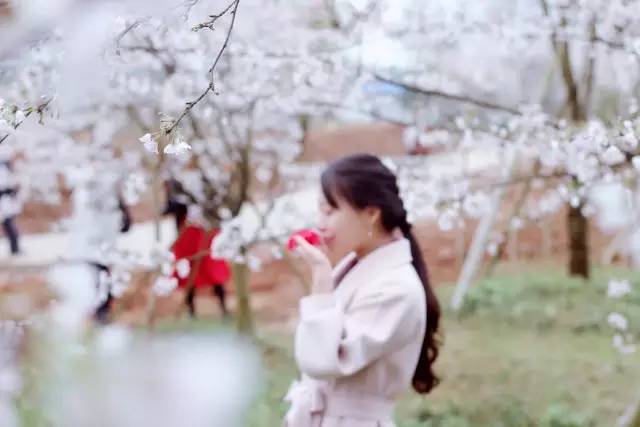 vr在线播放 仅支持3DoF（头部转动）