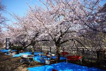 视频1区视频2区 区视动漫下载站或论坛里