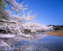 国产同人3d 有时会发布独家内容