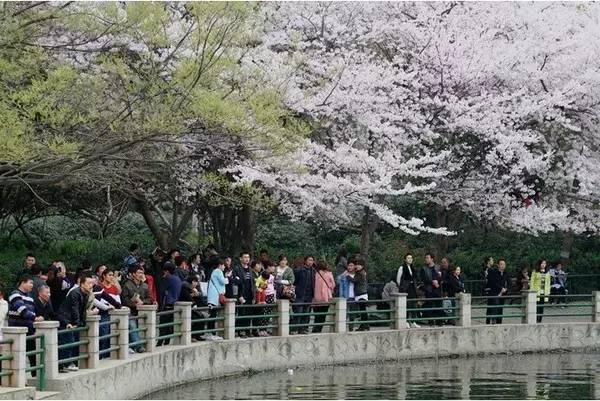 小蓝电影全集免费观看