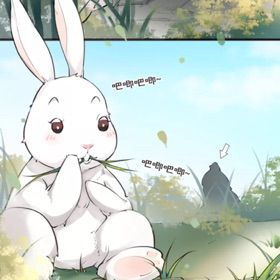 魔改综艺 魔改综艺可以告诉我