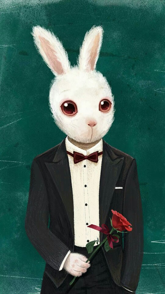 魔改综艺 魔改综艺可以告诉我