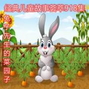 小小茄视频 替代选择如需类似内容