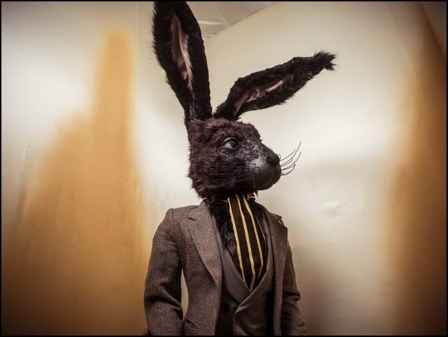 成年网页 成年网页科学的成年网页信息