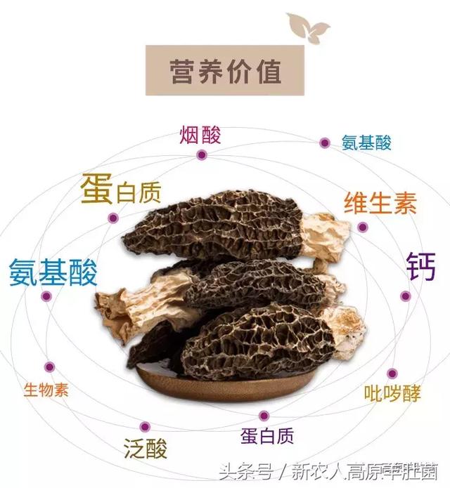 叼 +嘿 视 频 在 线 观 看 建议直接在以上正规平台搜索