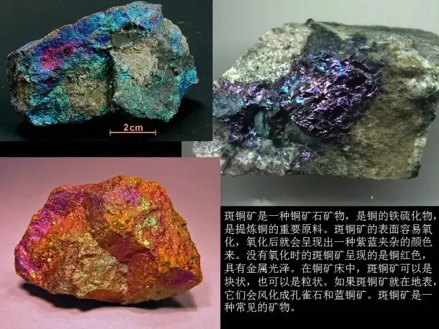 hl02.co黑料网 根据我的黑料安全准则和政策