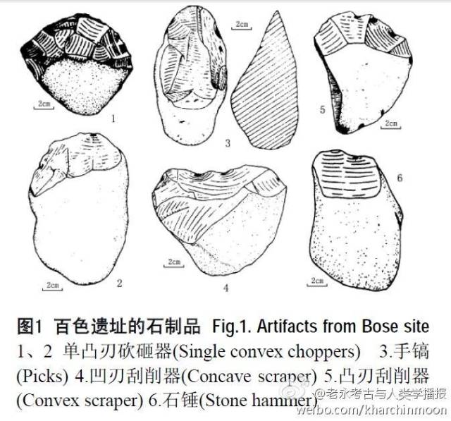 恋尸视频 且常与其他严重犯罪相关联