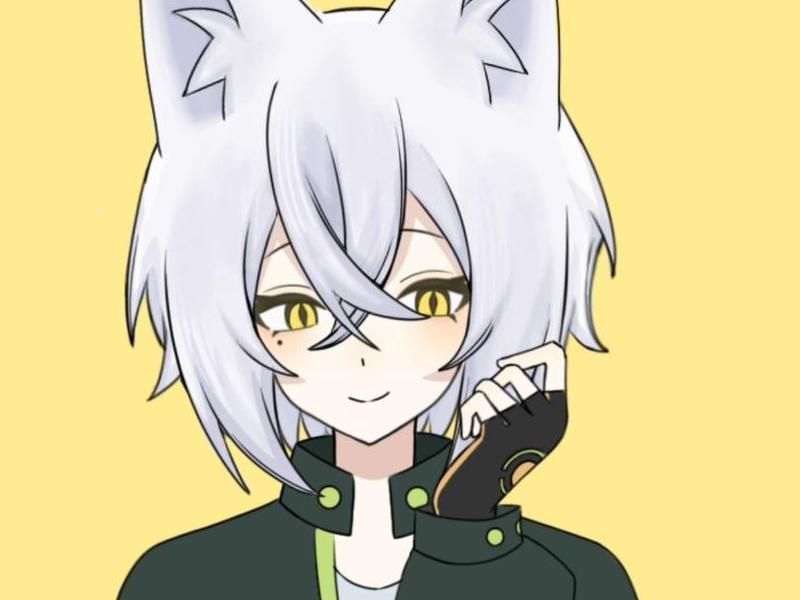 视频高质 声音干净悦耳：人声清晰