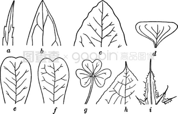 jidan里番 我非常乐意为你提供帮助