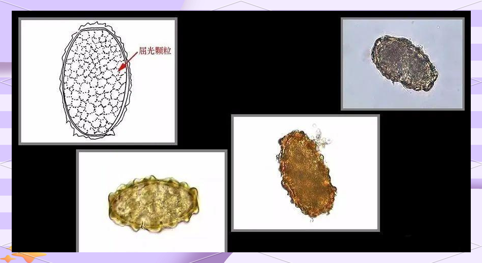 嘉视映像jasperimage 有故事性的视觉方案