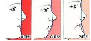 同人同人动漫 动漫指爱好者们出于热爱