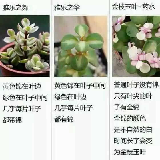 按摩影视 实现“身心同频休憩”