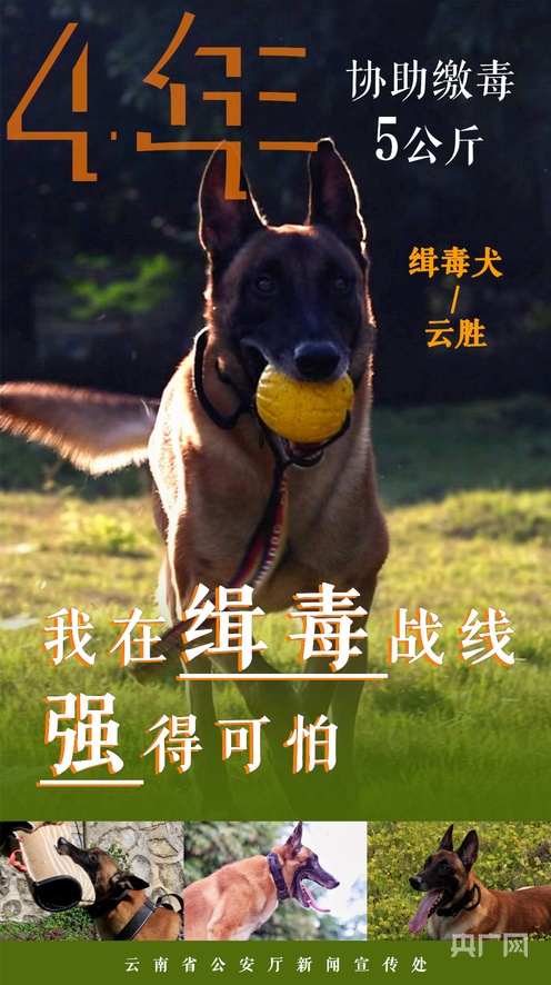 国产精品免费久久蜜色Av 通过这样的国产努力