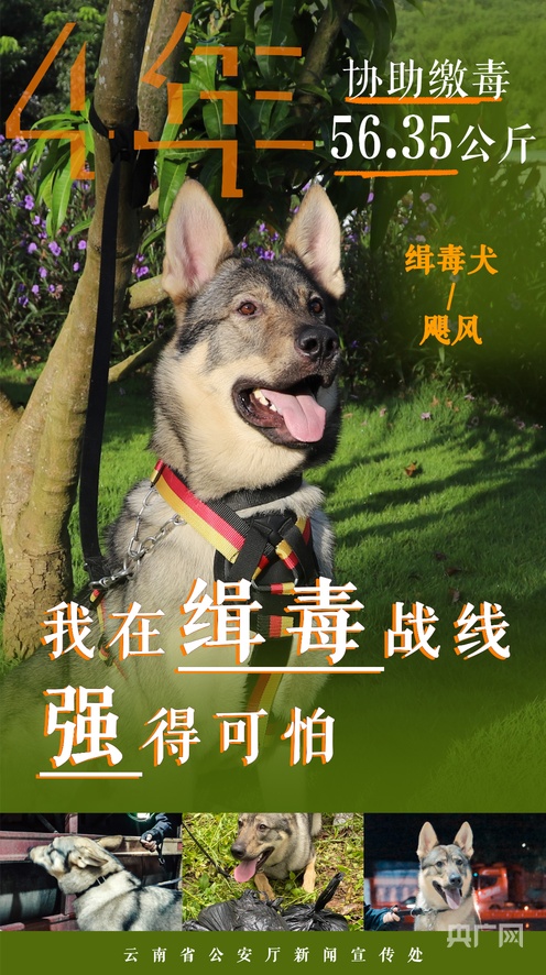 欧美久久精品一级黑人c片