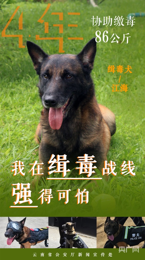 北京朝阳群众吃瓜