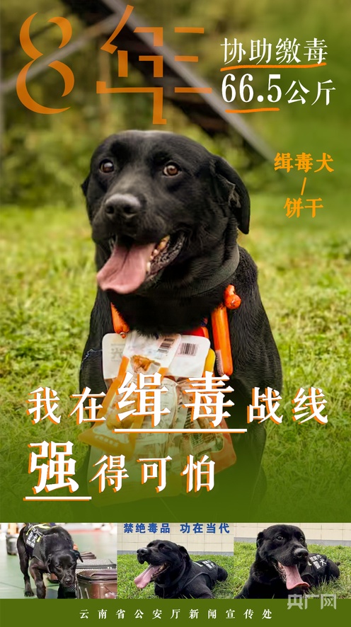 日本一个做陶土的电影