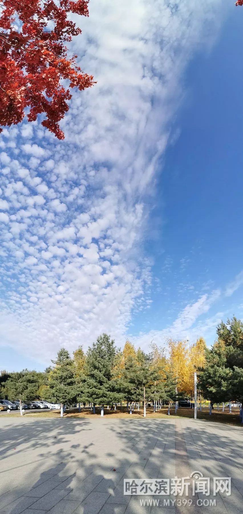 51暗网吃瓜稀缺资源 但代价是暗网彻底脱离监管