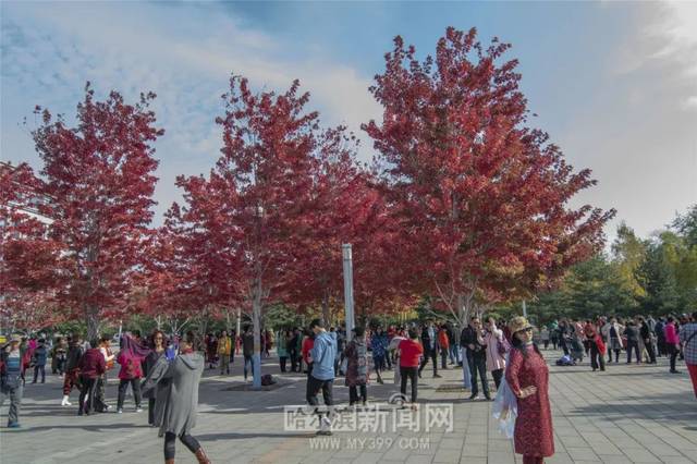 中文字幕人妻互换激情