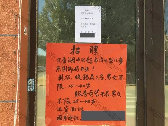 困困狗。 困困狗没精神的困困狗状态